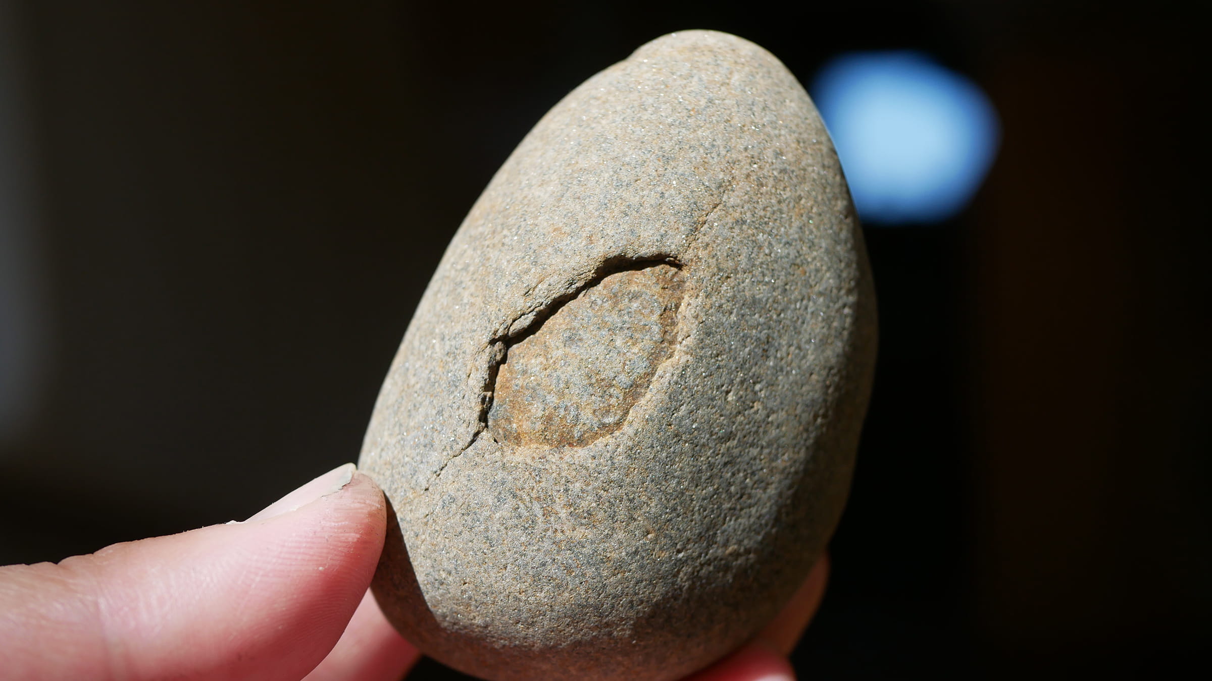 タマゴみたいな多摩川石