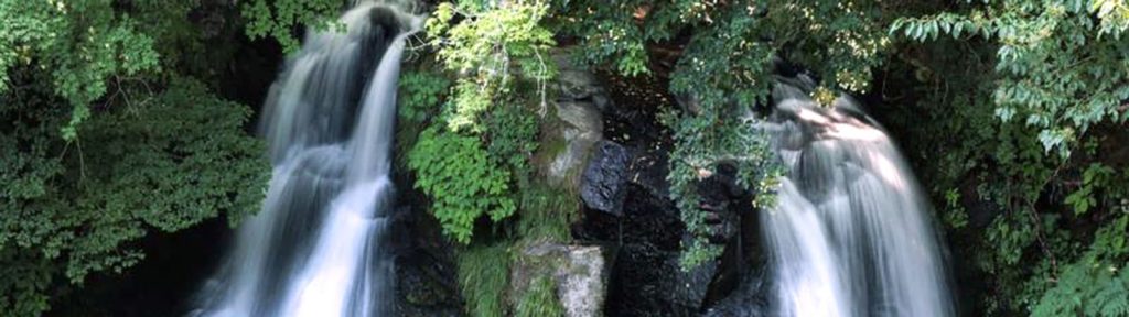 滝石は滝を想起させる石