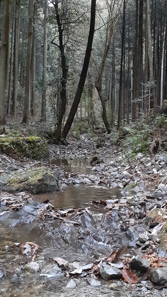 山の神さま側の小川