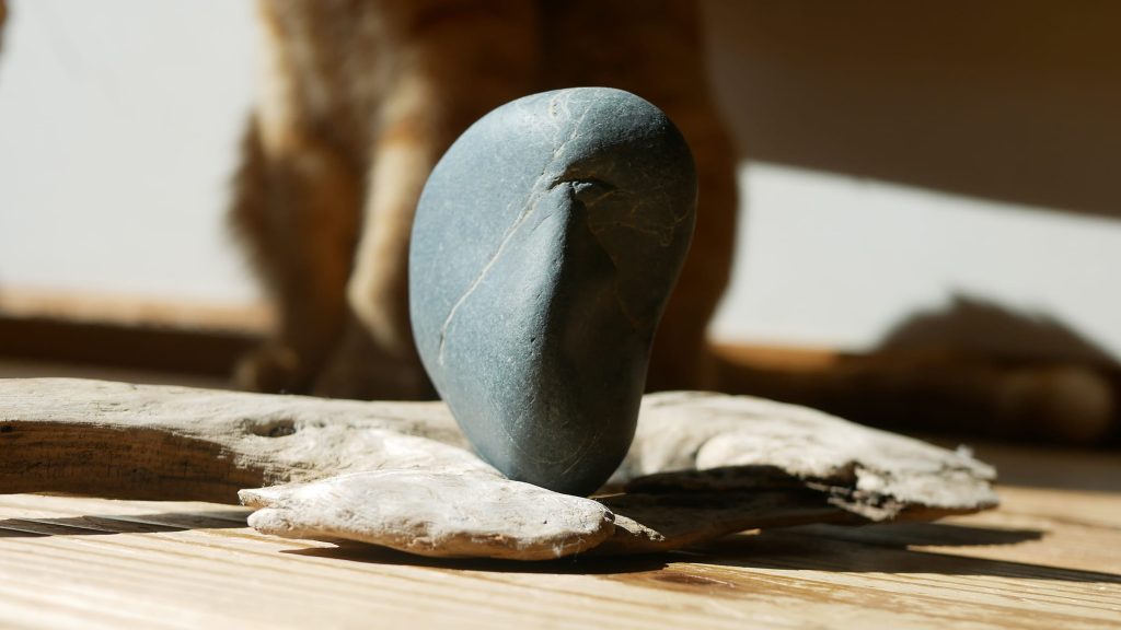 多摩川石　水石