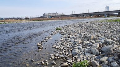 多摩川の探石にて、「溜り石」に出会う