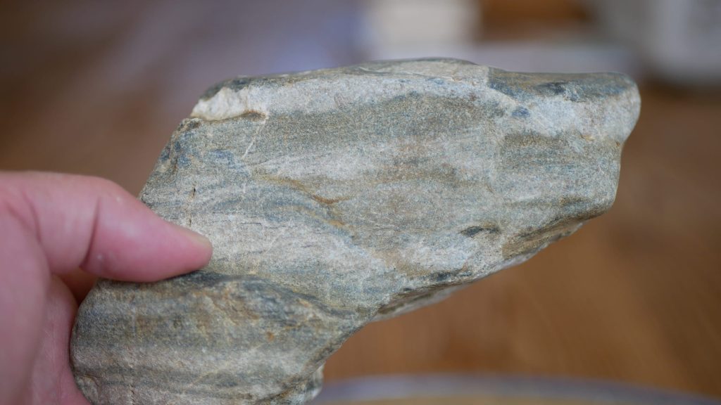 多摩川雨宿りっぽい石