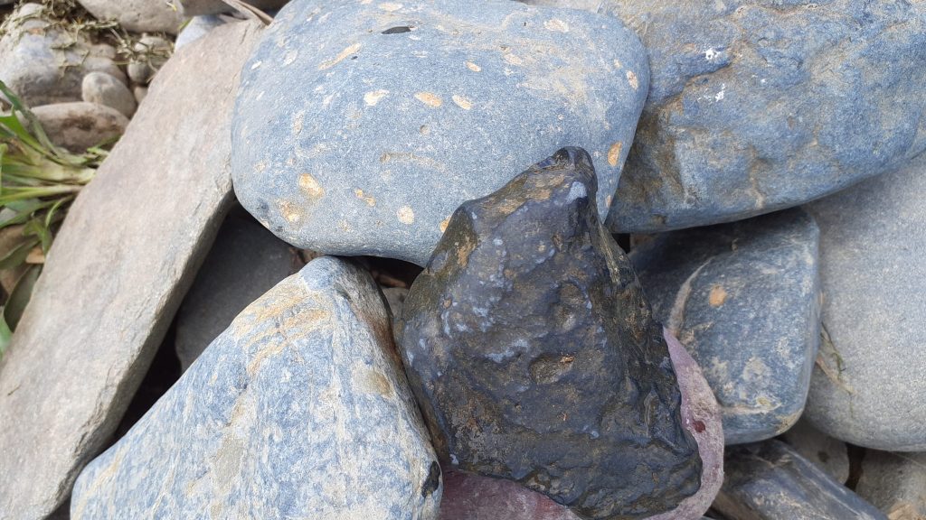 蒼黒の多摩川石を集めていく