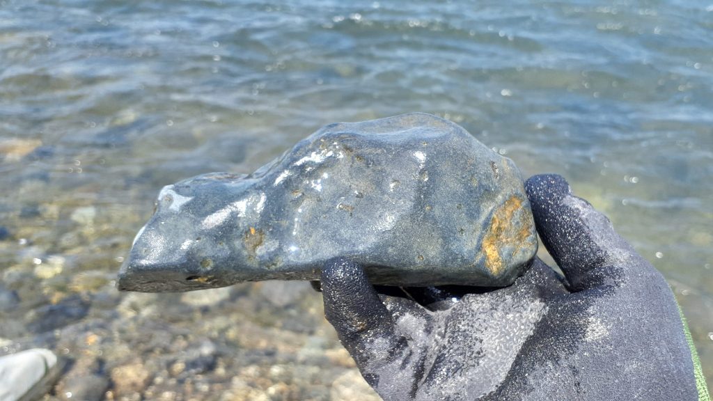 川ズレが美しい蒼黒の多摩川石