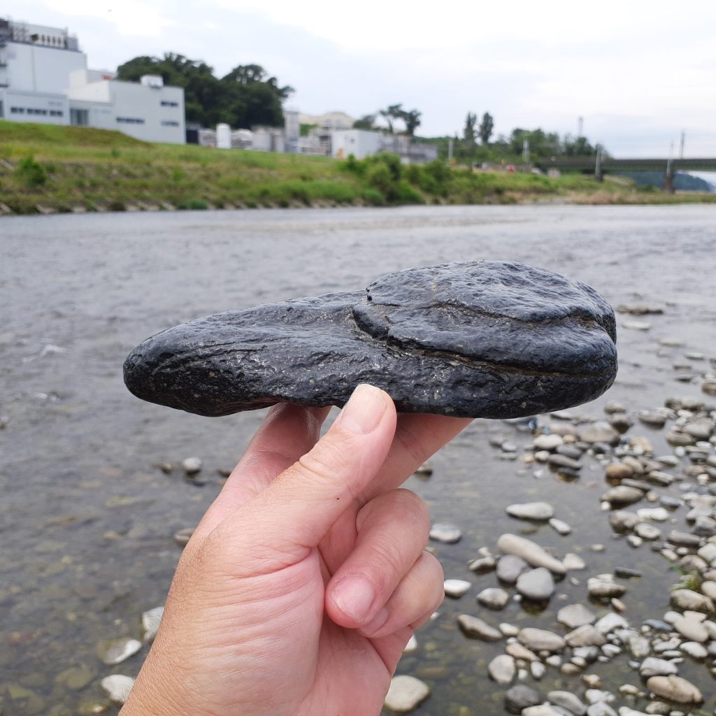梨地肌の多摩川石を水を打って撮影する