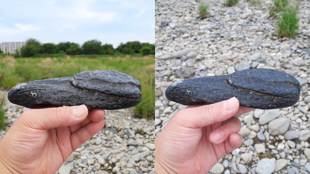 水面なしの画像