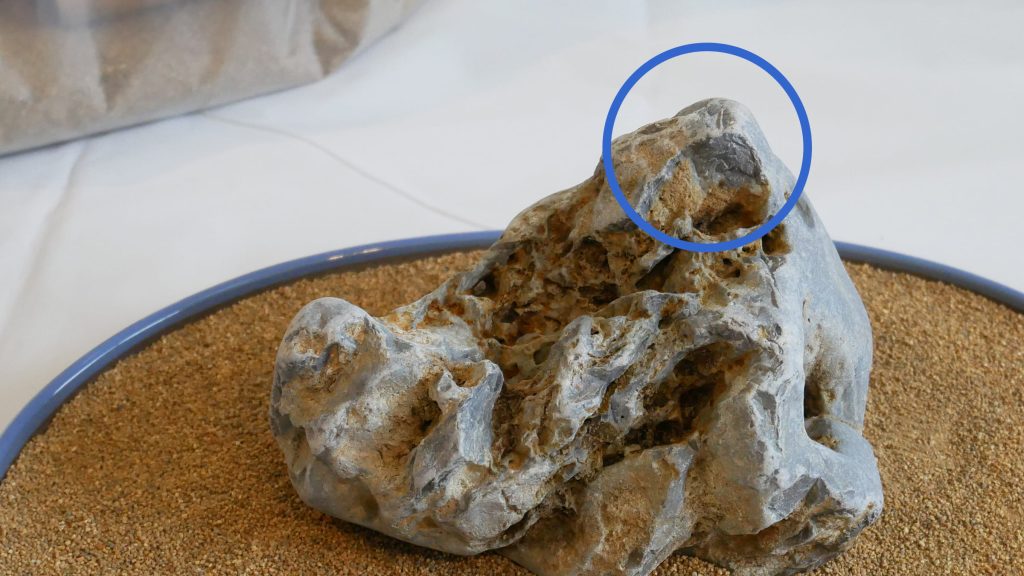 勝手、一番せり出しているところ