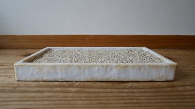 水盤っぽい「木製贋水盤」を作ってみた