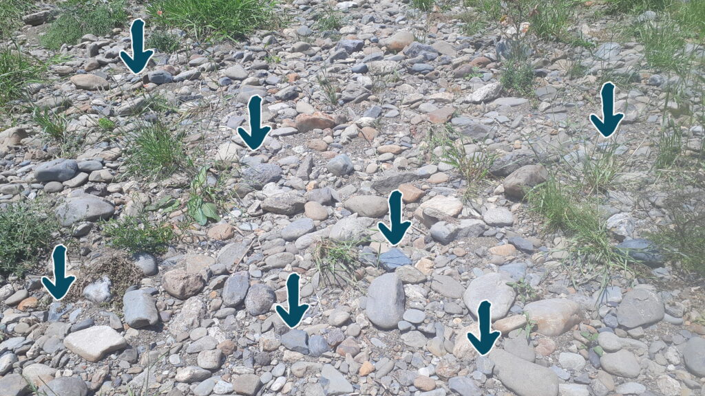 蒼黒の多摩川石がたくさん落ちている