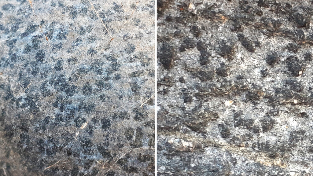 水石の肌合（はだあい）の種類 | すいすい水石