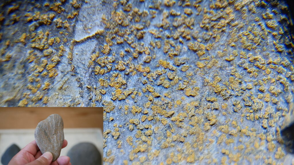 黄色に近い梨地の孔（穴）