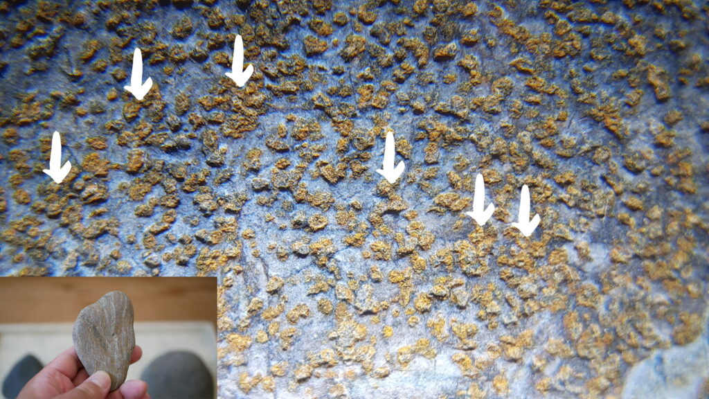 複数の孔（穴）がくっついており、面を形成している