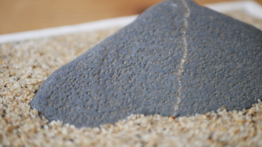 くっきりと浮かび上がる瀬田川石の梨地肌