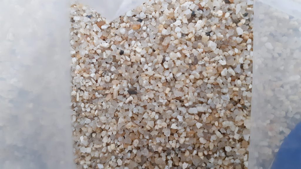 より粒がそろっている印象