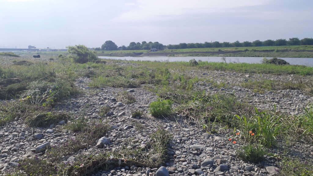 多摩川　競艇場前駅側の川原