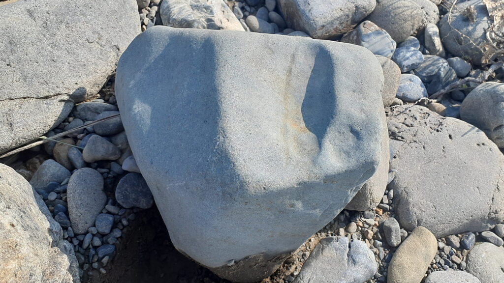 川ズレのきいた大きな蒼黒の多摩川石