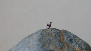 添景の景色遊びに挑戦