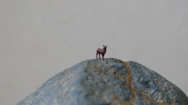 添景の景色遊びに挑戦