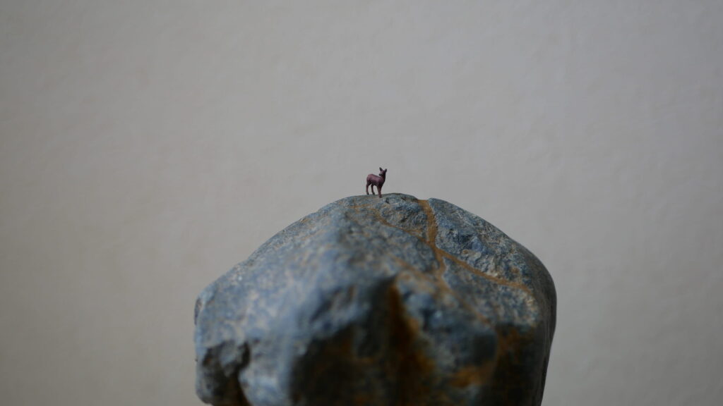 巨大な岩(水石)にたたずむ鹿