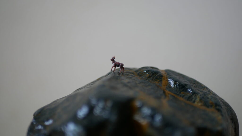 水を打った石に添配の鹿を飾る