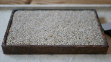 木製贋水盤の茶色水盤を作ってみた