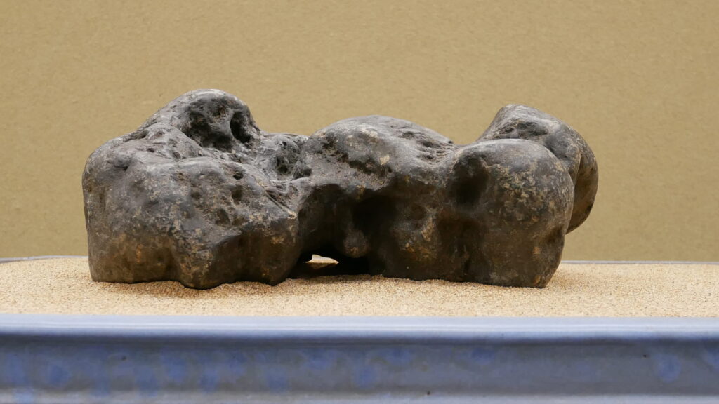 八海山石　第62回 日本水石名品展にて