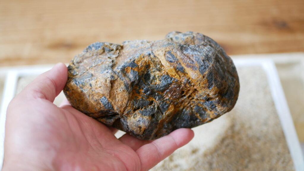 糸掛をもつ多摩川石　上から