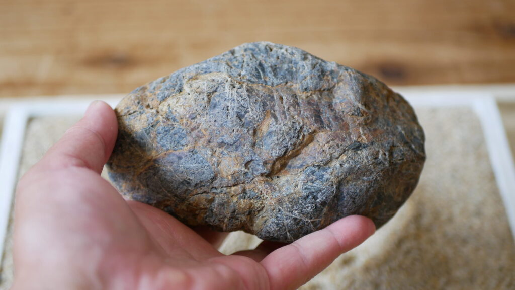 糸掛をもつ多摩川石　下から