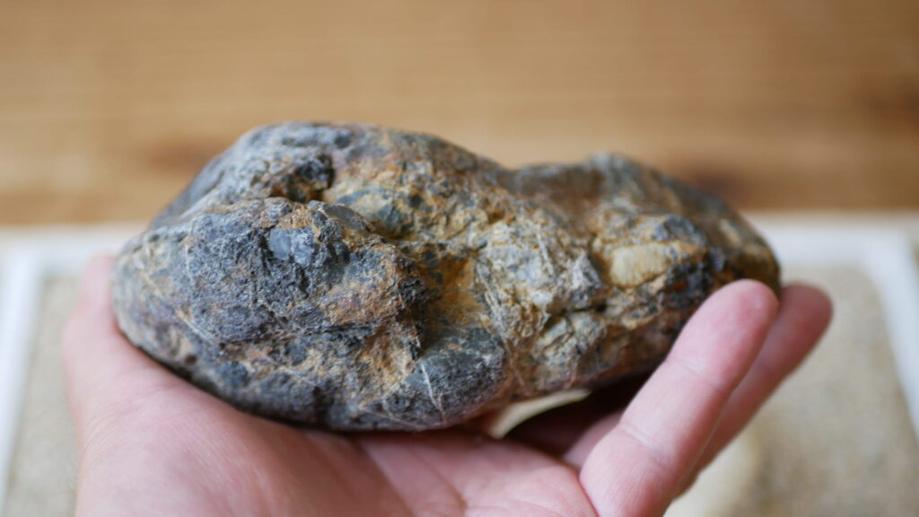 糸掛をもつ多摩川石　裏側