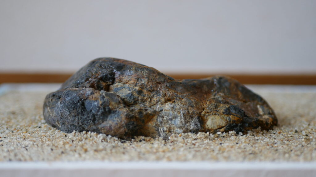 後ろから見た糸掛多摩川石