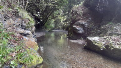 盆堀川で素敵な探石